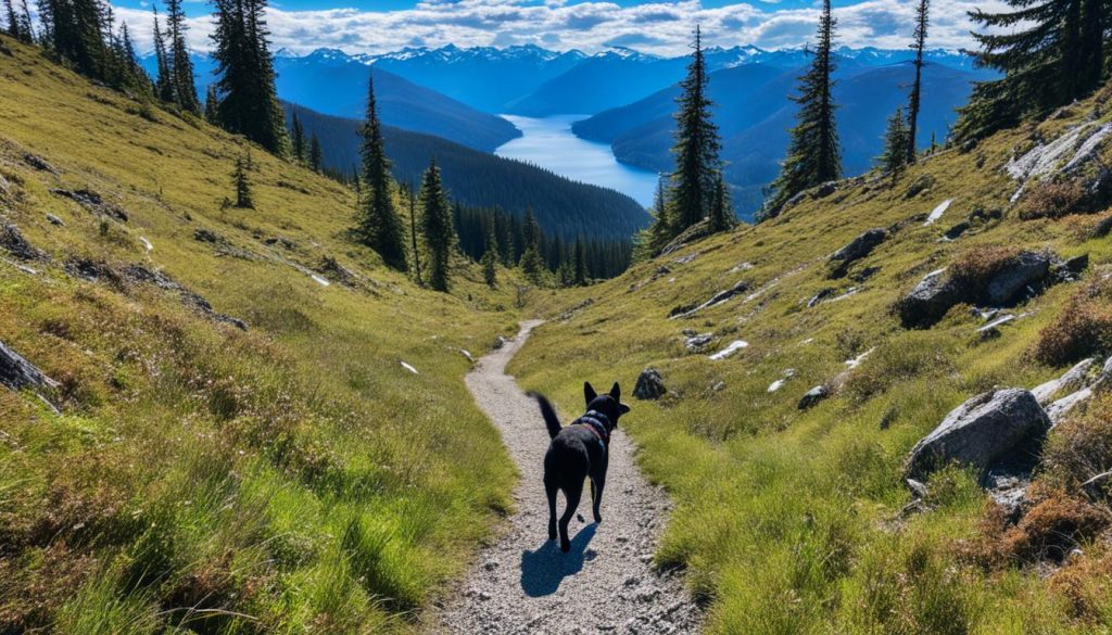 dog-friendly trails